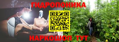 a pvp Бугуруслан