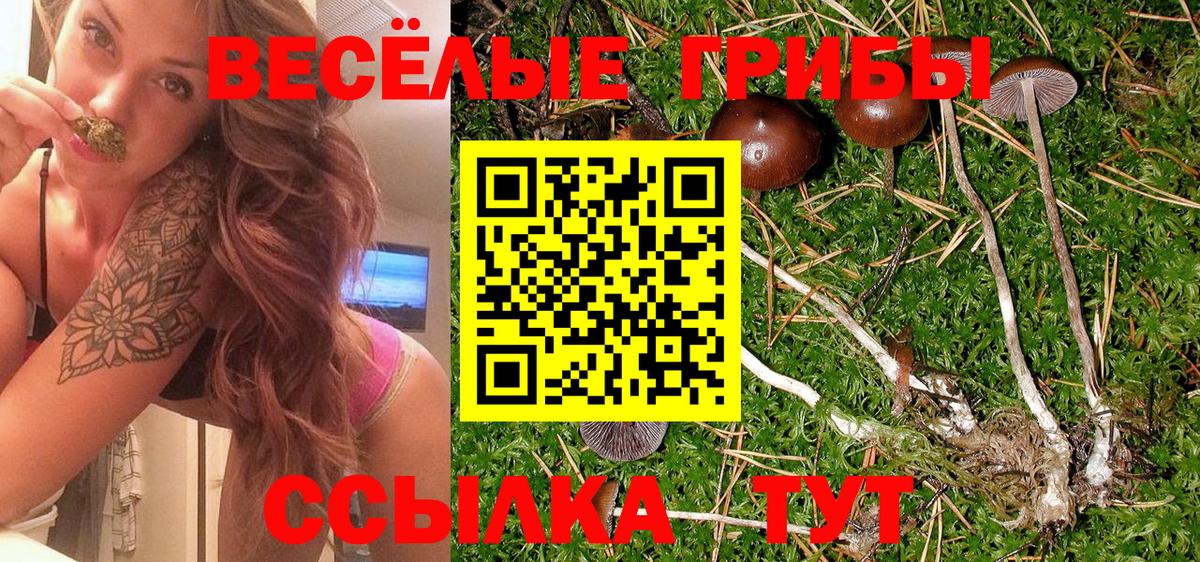 Сызрань  Галлюциногенные грибы Psilocybine cubensis  Вход с VPN  Псилоцибиновые грибы GOLDEN TEACHER 