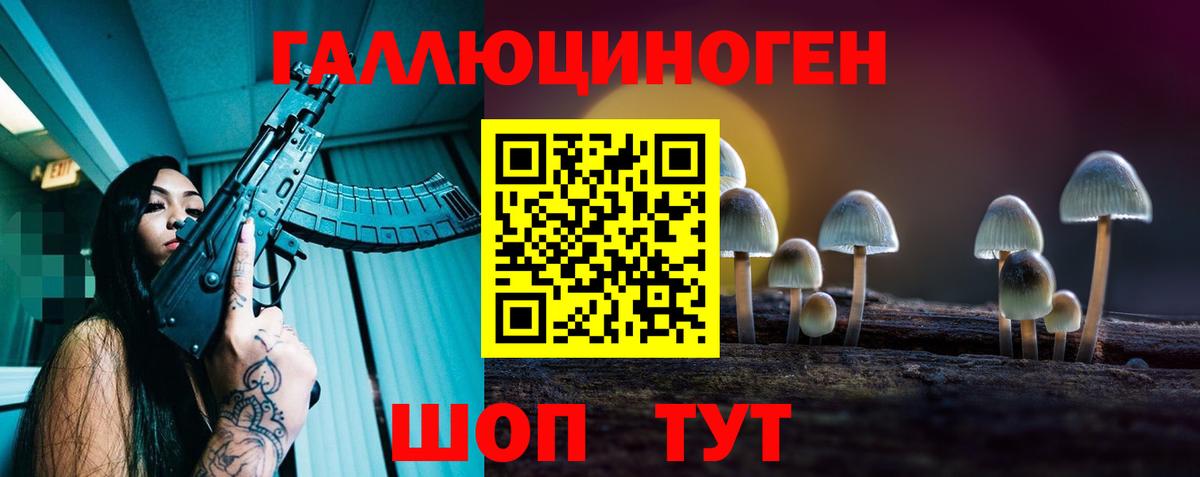 Псилоцибиновые грибы Cubensis Сызрань